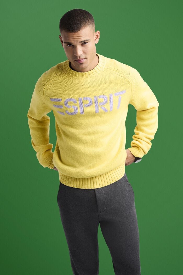 Logo-Pullover aus Wolle und Kaschmir