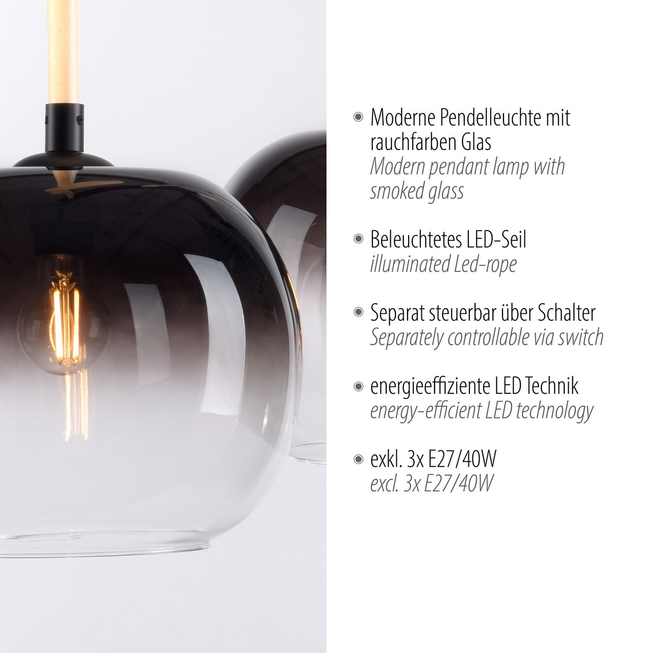 Paul Neuhaus Pendelleuchte LUMA, 3x E27/40 Watt max., 3x LED-Board/12,50Watt, Schwarz