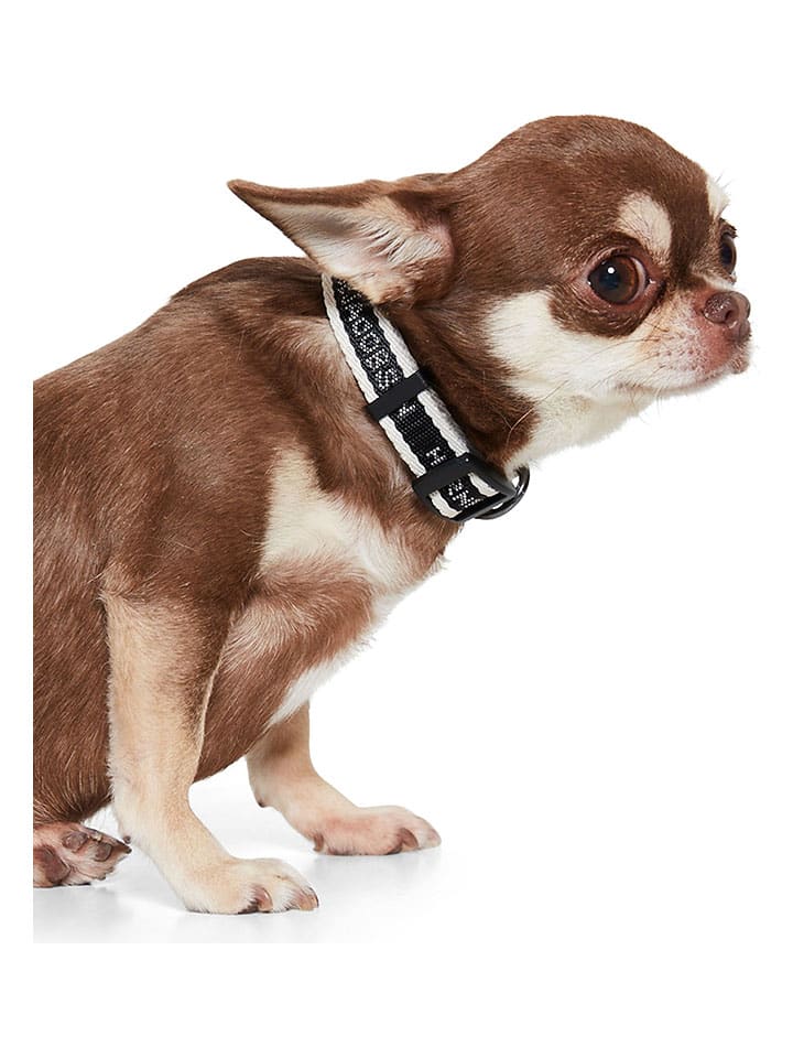 VOV & VUF Hundehalsband in Schwarz/ Weiß günstig kaufen 28 cm