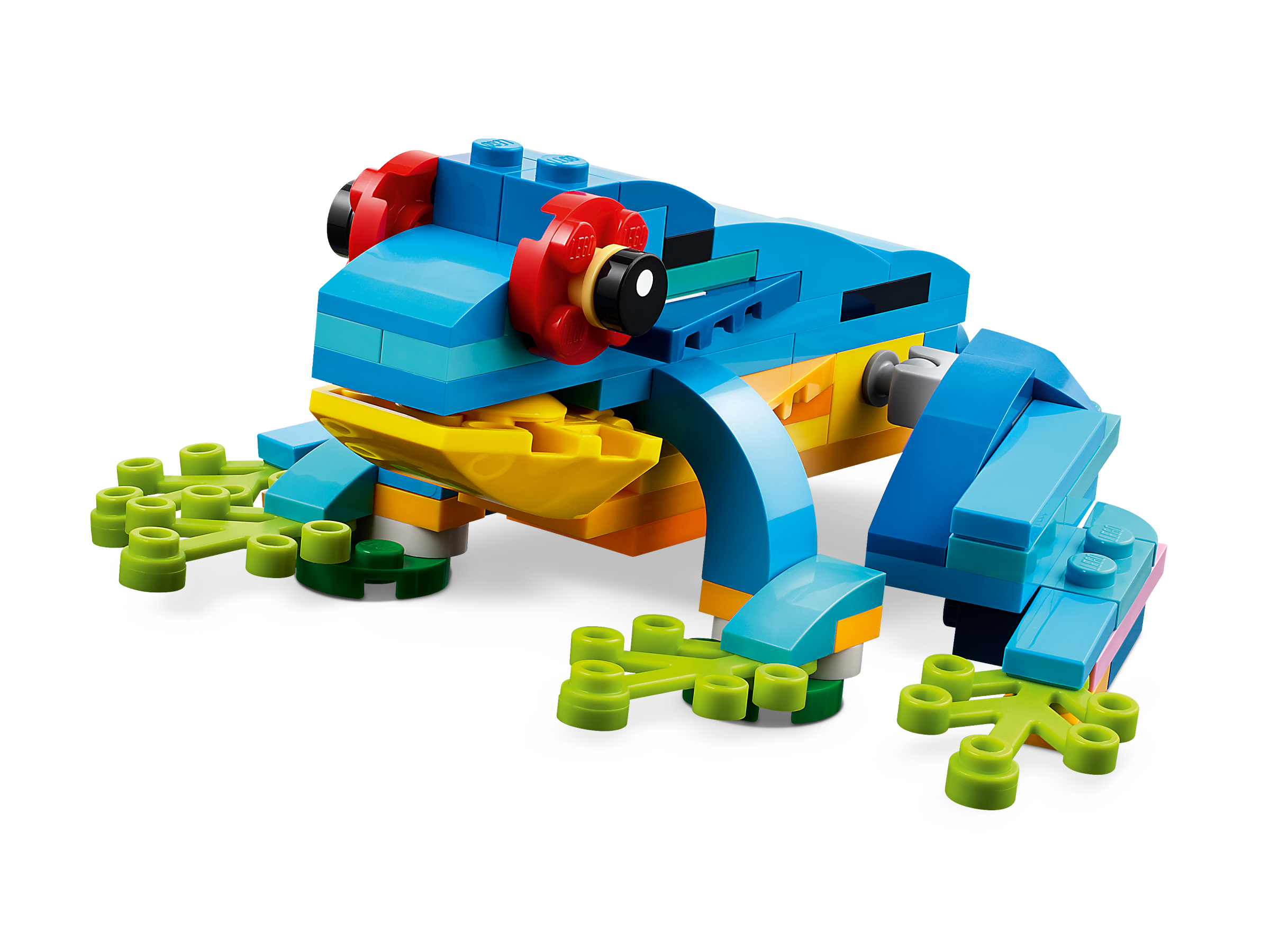 Exotischer Papagei 31136
