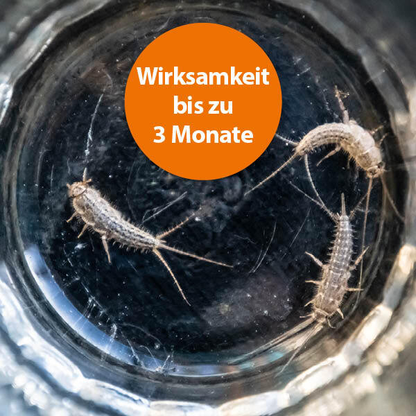 Ardap Zubehör Ardap Silberfischchen Köderdose 4er Pack