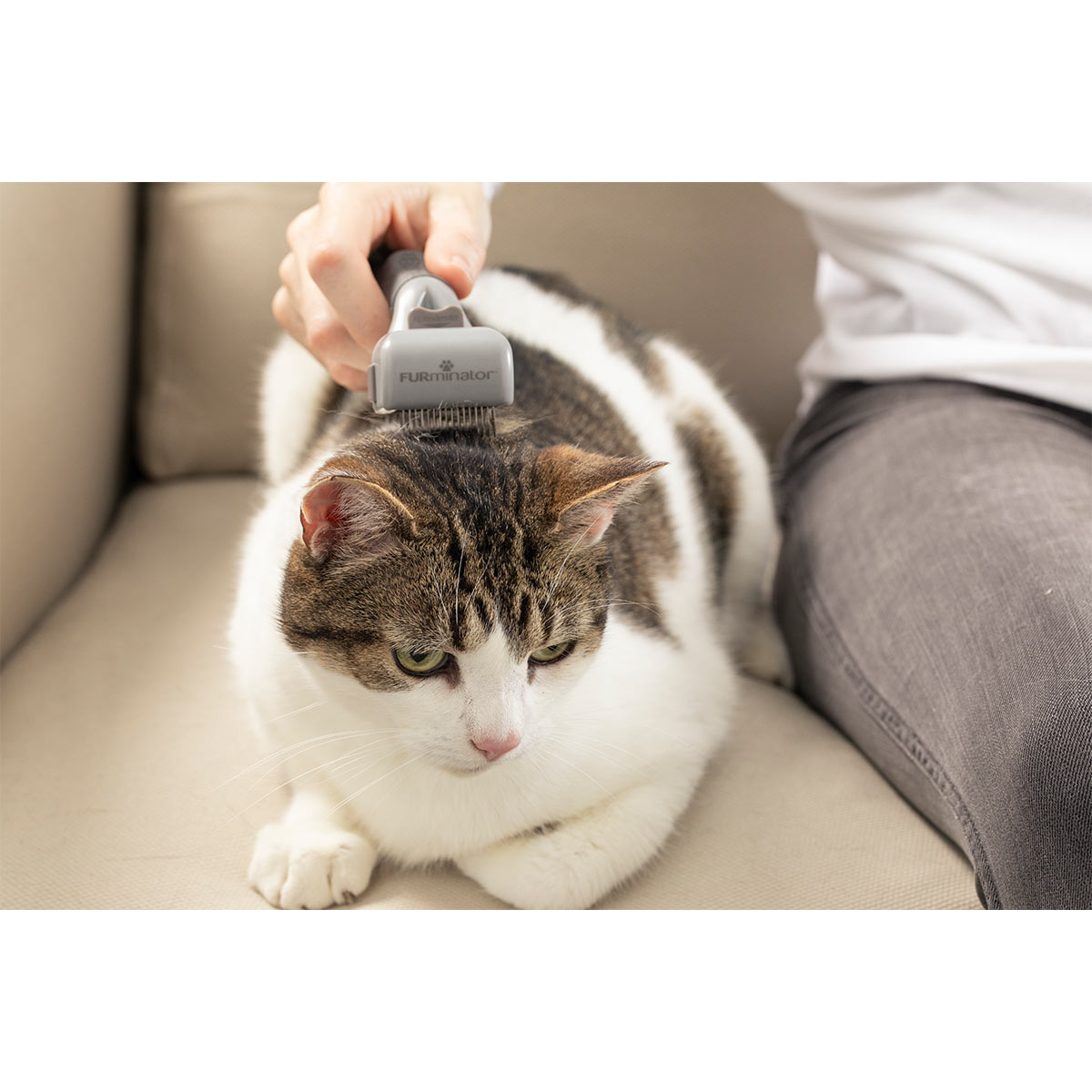 FURminator Entfilzer für Hund und Katze kaufen