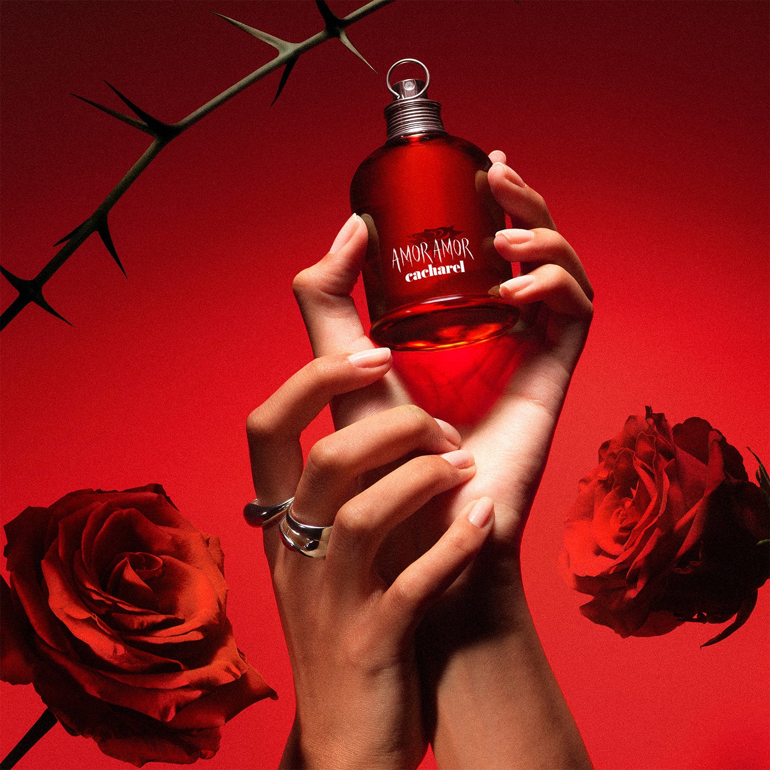 Amor Amor Amor Amor - Eau de Toilette
