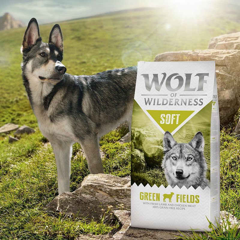 Wolf of Wilderness 'Soft - Green Fields' - Lamm