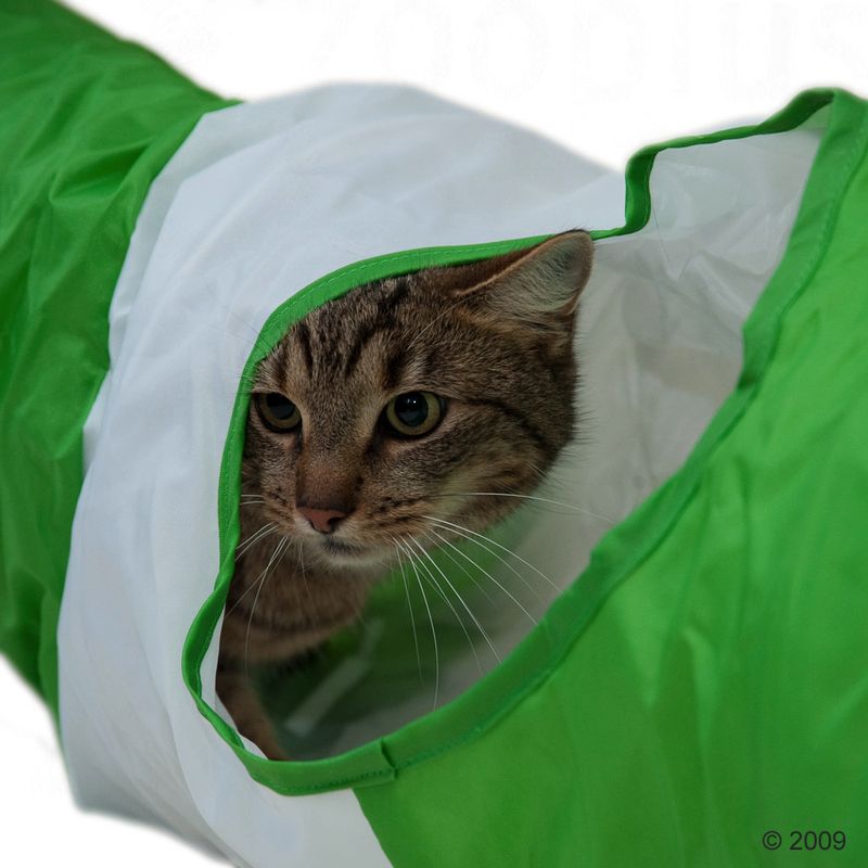 Katzentunnel Raupe zu Discountpreisen % bei bitiba.de