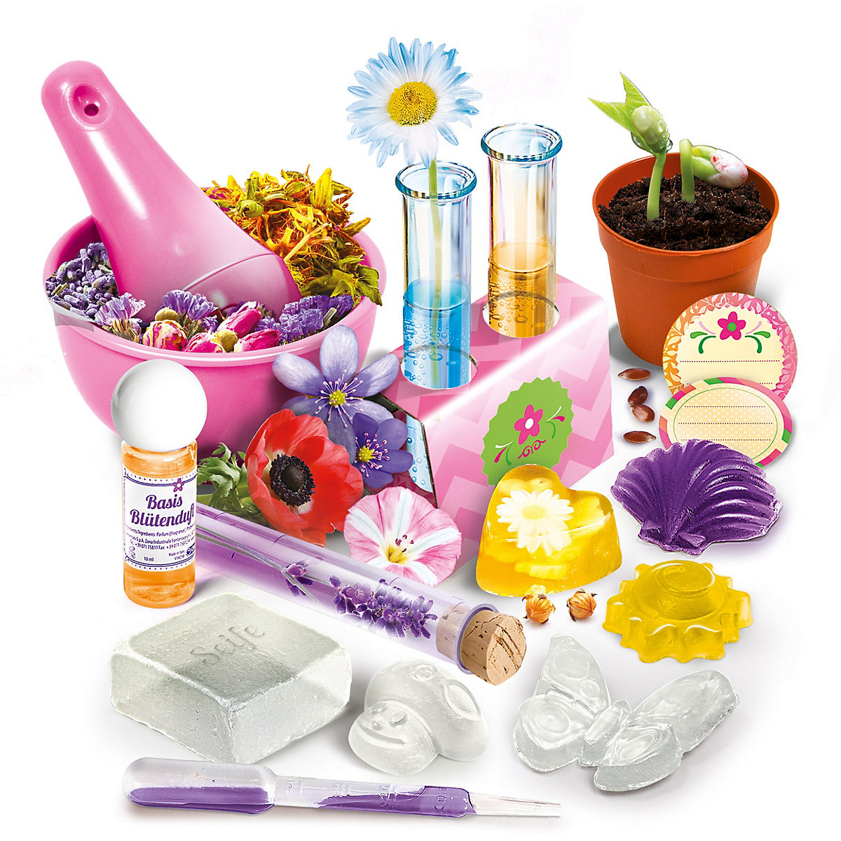 Galileo LAB - Blütenträume