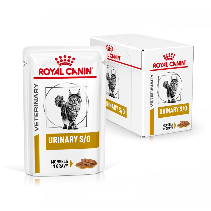Royal Canin Veterinary Feline Urinary S/O zu TOP-Preisen | bitiba