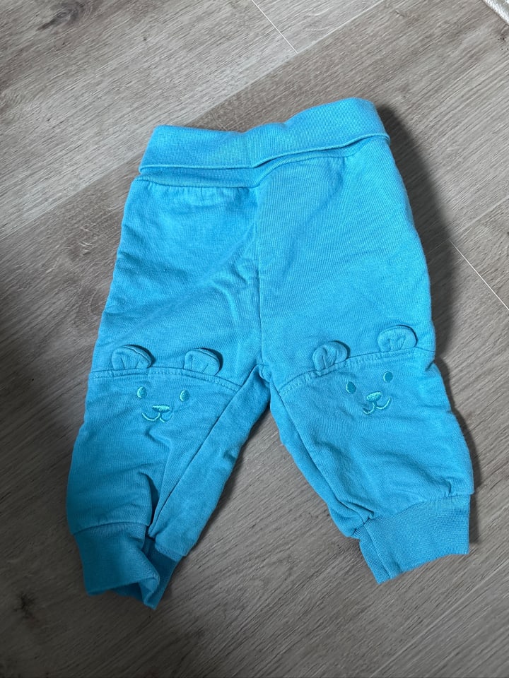 Steiff Sweathose in Hellblau günstig kaufen 62