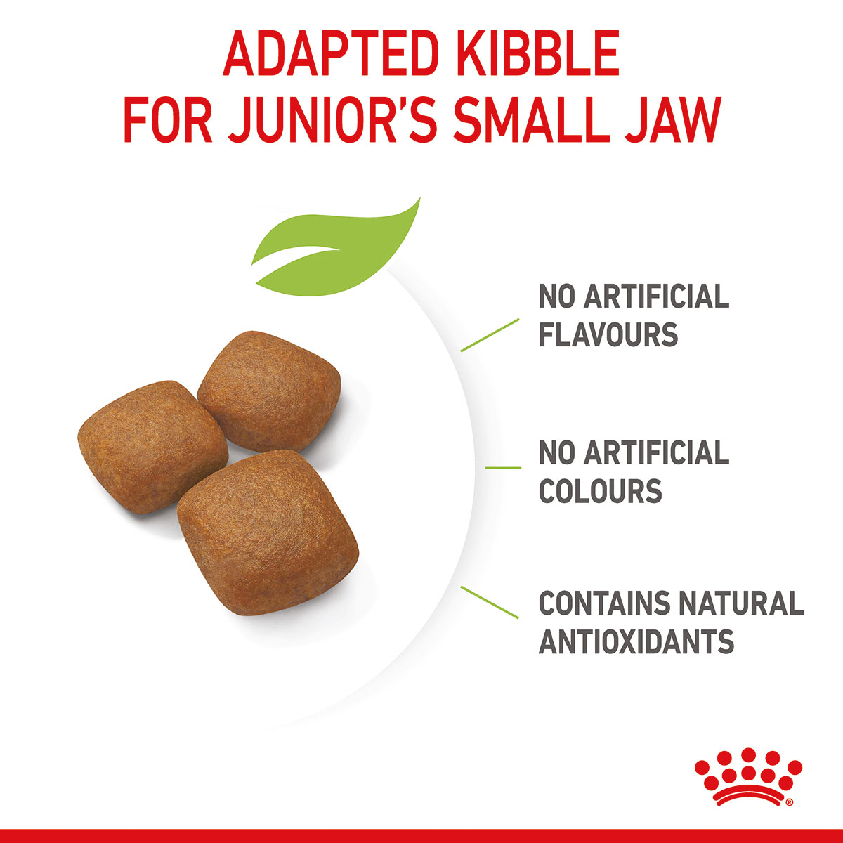 ROYAL CANIN GIANT Junior Welpenfutter trocken für sehr große Hunde