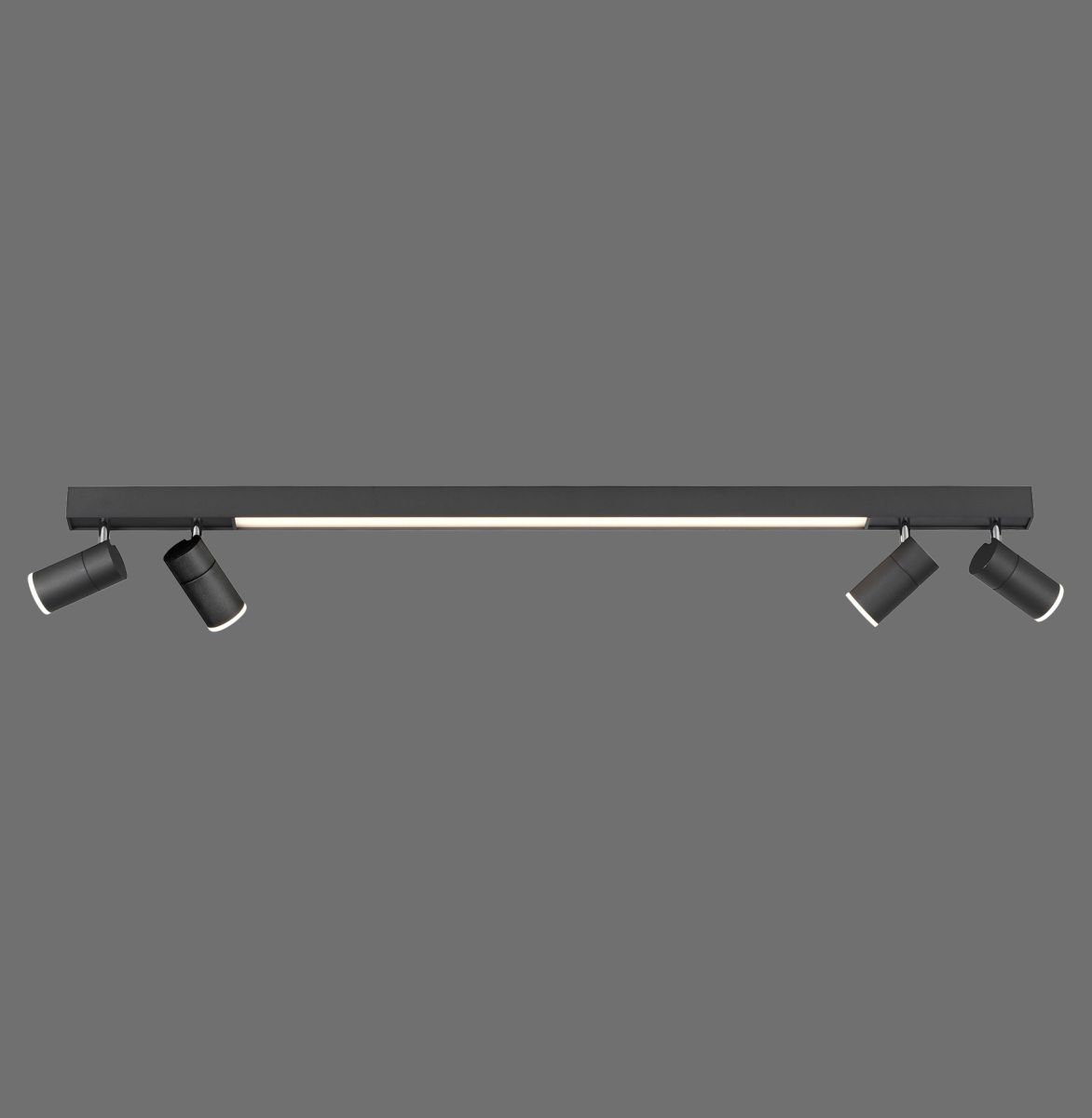 Paul Neuhaus LED Spot Pure Lines 4-flg Anthrazit 120 x 19 cm