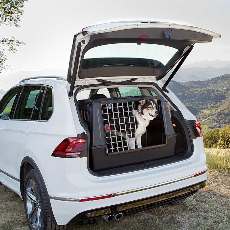 Ferplast Autotransportbox Atlas Car Scenic schwarz zu TOP-Preisen | bitiba