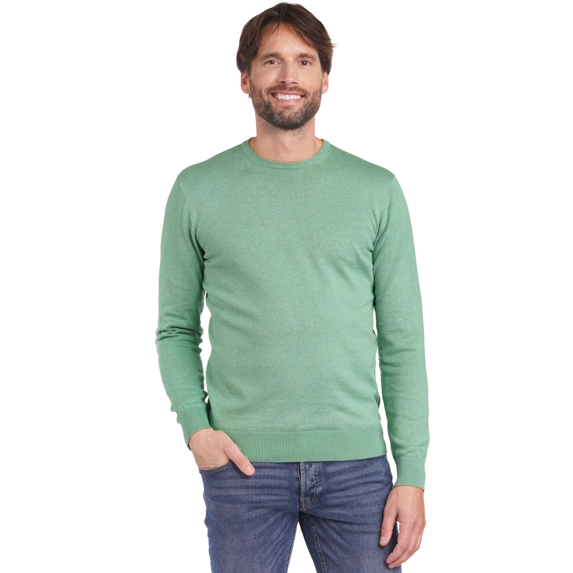 Herren Feinstrickpullover mit Rundhals