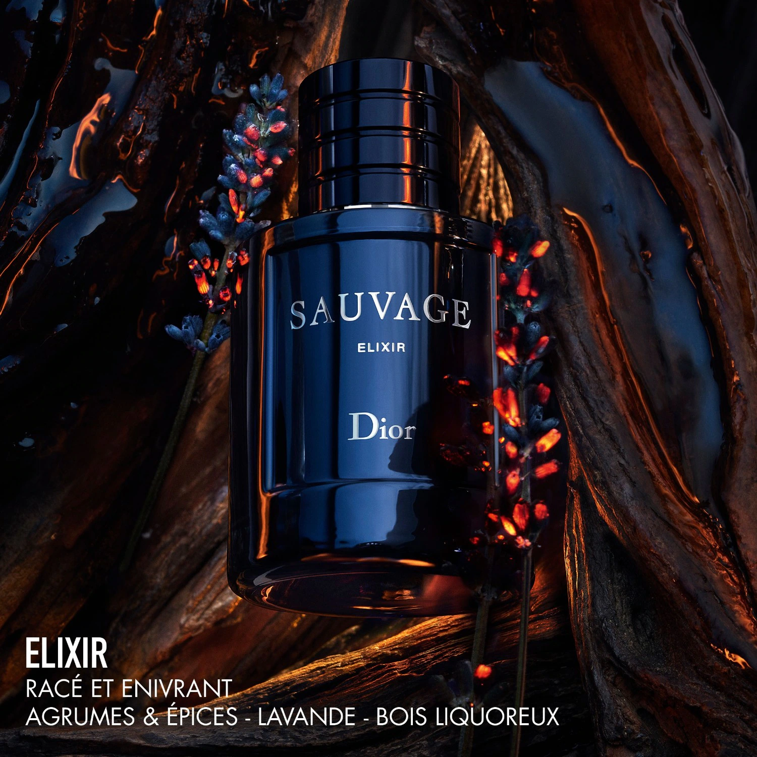 DIOR Elixir – Notes épicées, fraîches et boisées