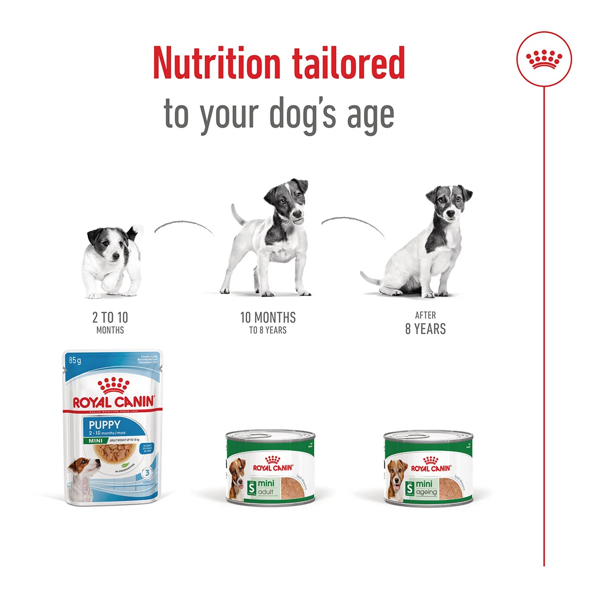 Royal Canin SHN Mini Adult Loaf Can günstig kaufen bei ZooRoyal
