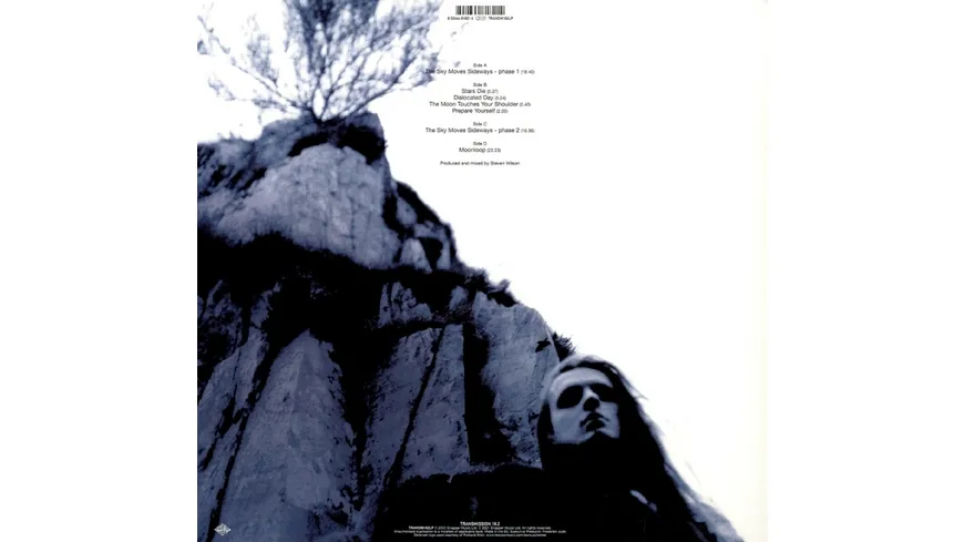 The Sky Moves Sideways (Gatefold Black 2LP)