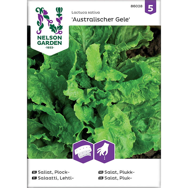 Nelson garden Frø Salat Plukk-, Australische, Frøbånd