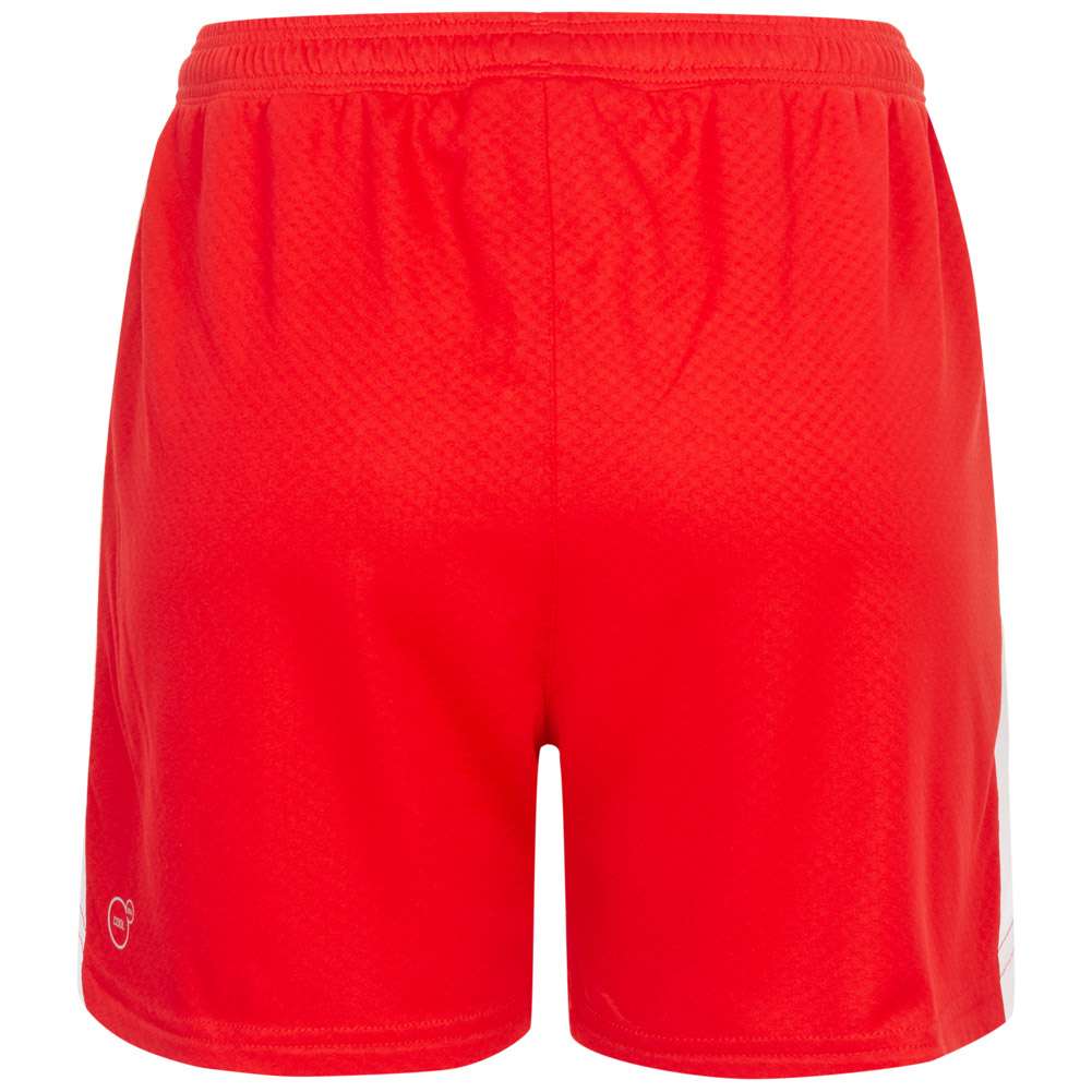 Dänemark PUMA Damen Auswärts Handball Shorts 744032-01