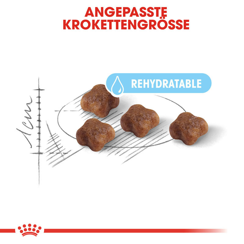 ROYAL CANIN Trockenfutter ROYAL CANIN Mother & Babycat 2 kg