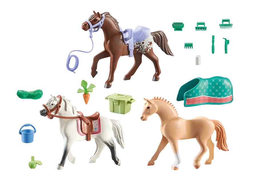 3 Pferde: Morgan, Quarter Horse & Shagya Araber