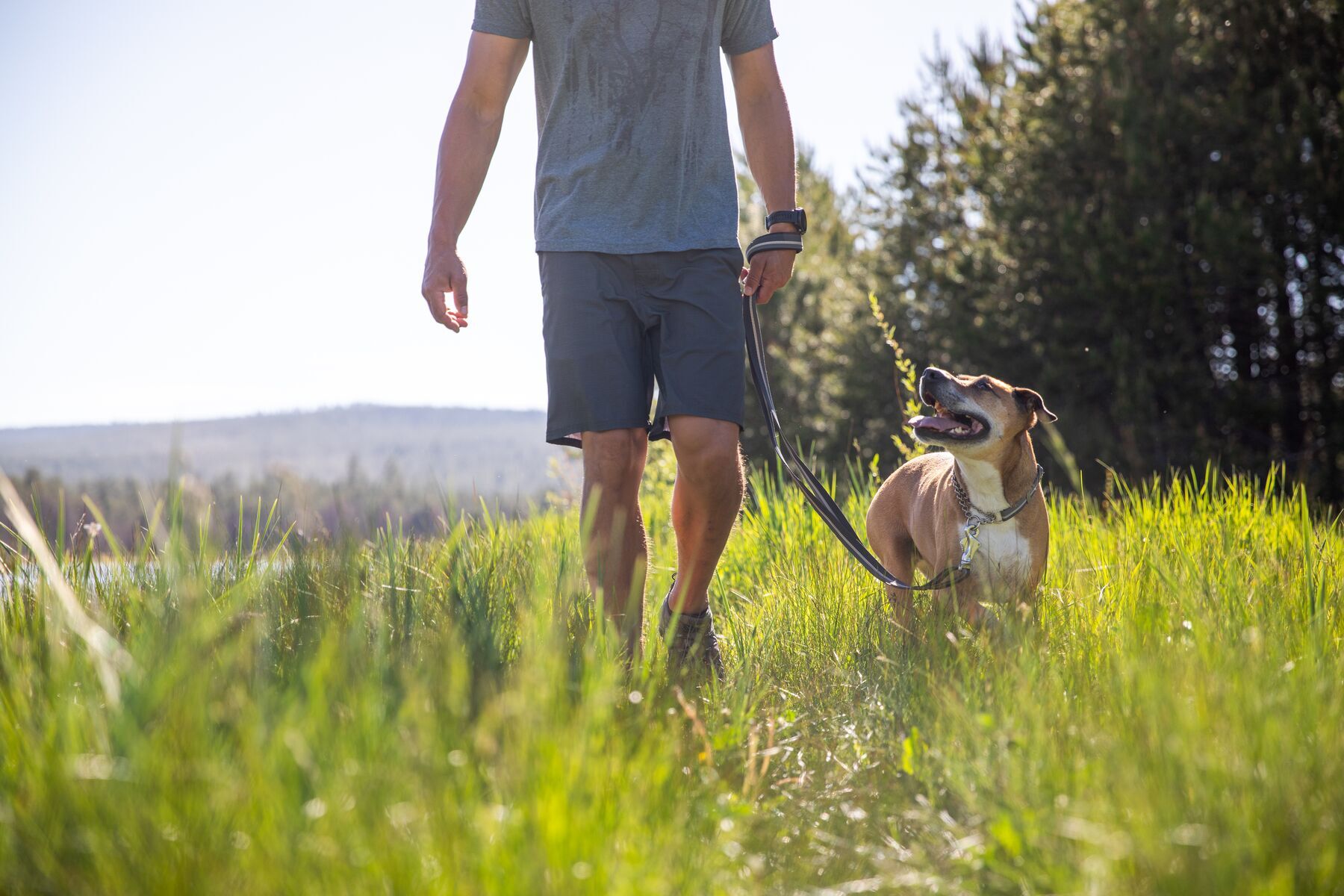 Ruffwear Hundehalsbänder Ruffwear Chain Reaction™ Halsband blau M