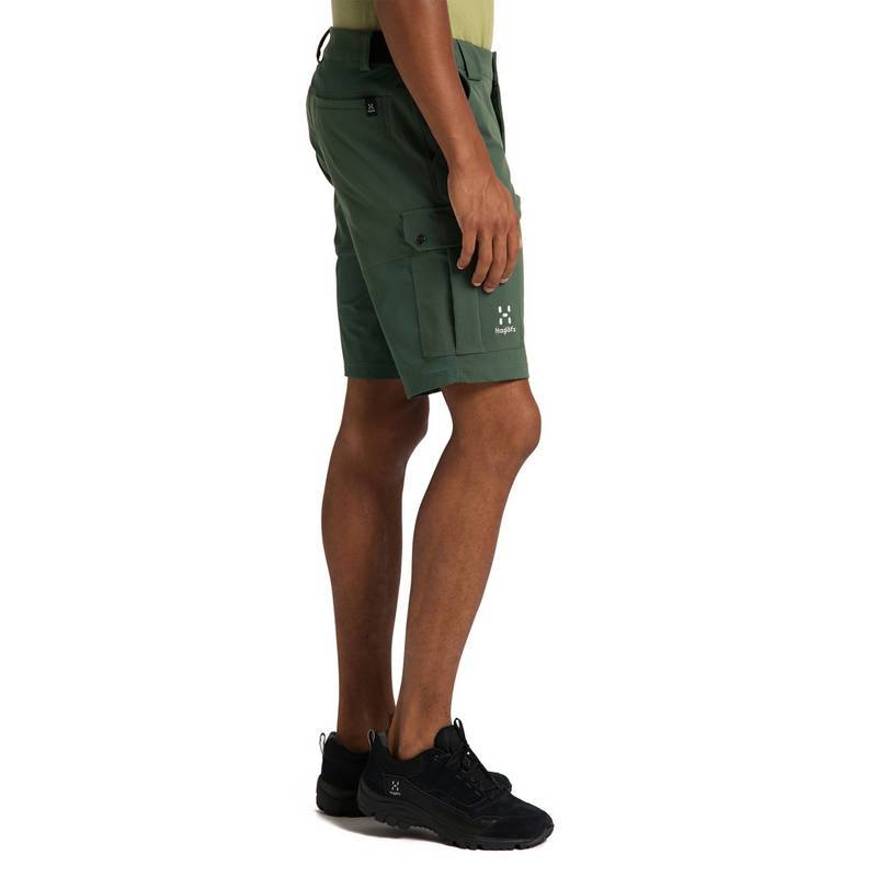 Haglfs Rugged Standard Shorts Funktionsshorts Herren