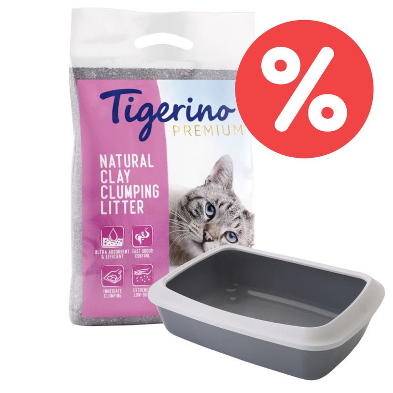 Kitten Starter-Paket: Tigerino Premium Katzenstreu + Savic Katzentoilette