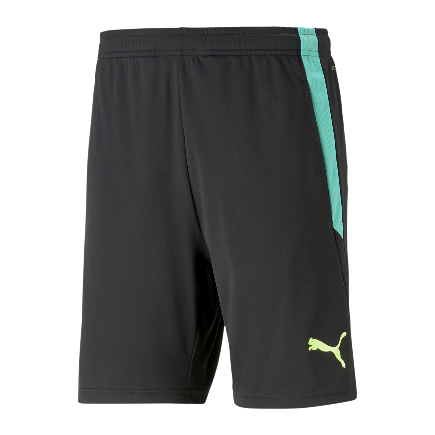 PUMA teamLIGA Short 2 Schwarz F51