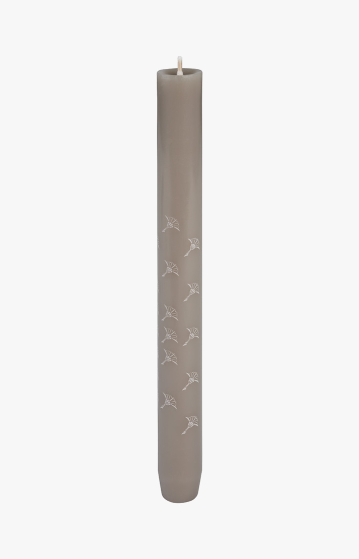 JOOP! FADED CORNFLOWER Stabkerze in Kiesel, 4er Set - im JOOP!