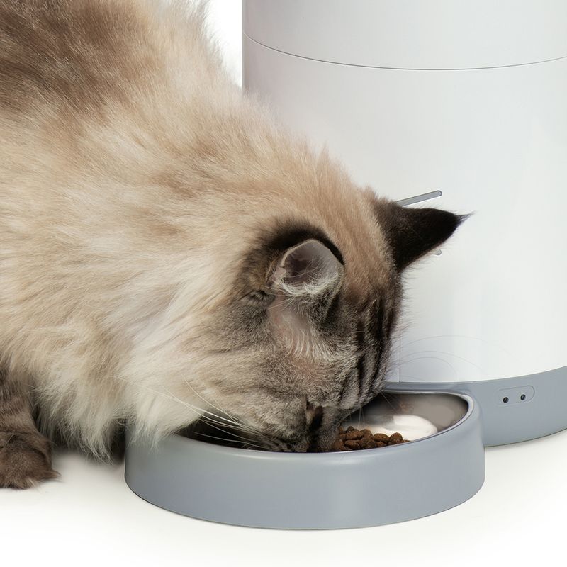 Catit PIXI Smart Futterautomat zu TOP-Preisen