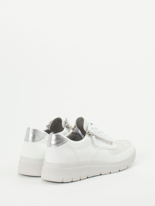 Sbeaker-26517940032 Stuppy