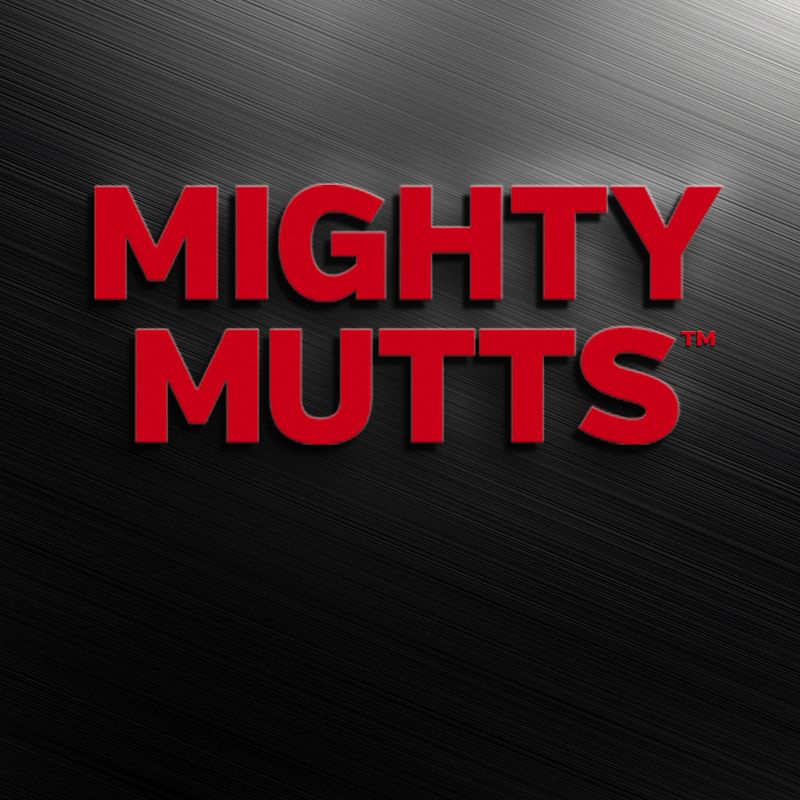 Mighty Mutts™ Tough Dog Toys Rubber S-Bone zu TOP-Preisen bei bitiba.de