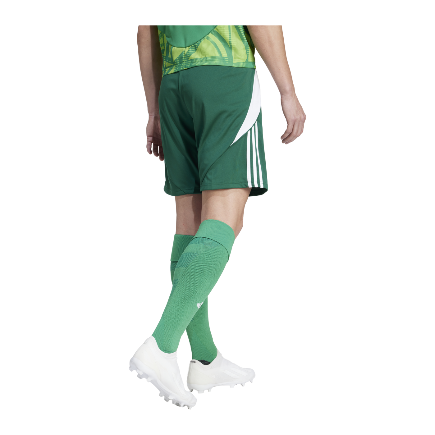 adidas Tiro 24 Short Grün Weiss