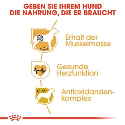 Royal Canin Boxer Adult