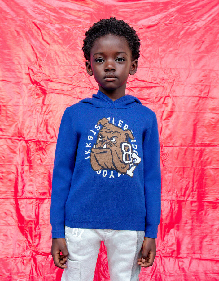 Pull bleu tricot Intarsia bouledogue garçon