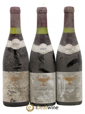 Bourgogne Gros Frère & Soeur  1989 - Lot de 3 Bouteilles