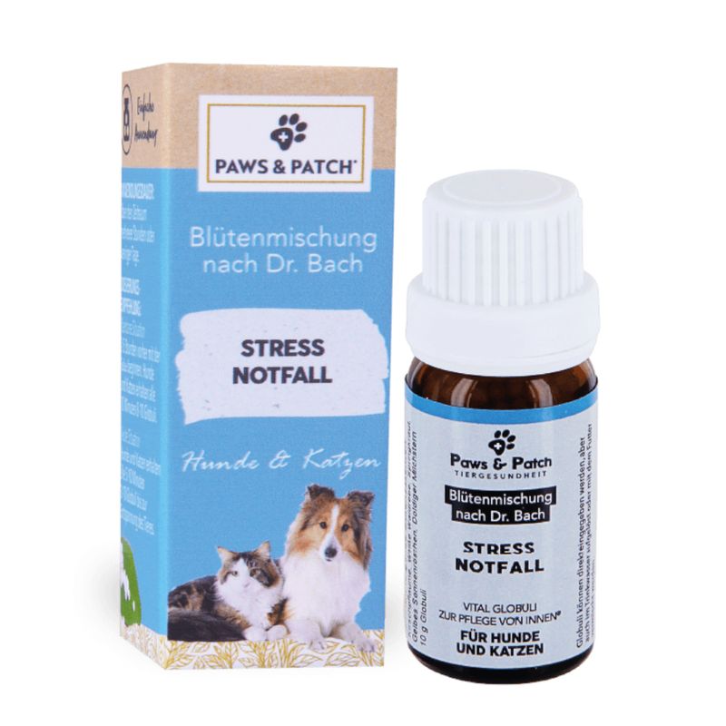 PAWS & PATCH Stress Notfall zu TOP-Preisen