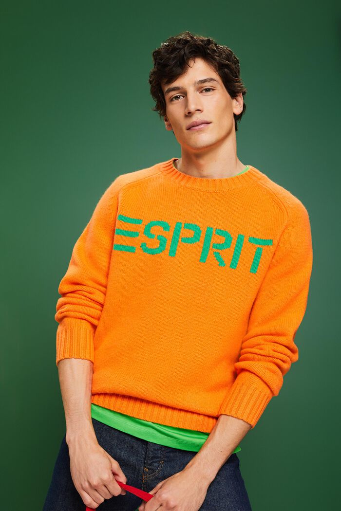 Logo-Pullover aus Wolle und Kaschmir