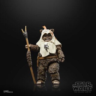 Star Wars Episode VI 40th Anniversary Black Series Actionfigur: Paploo