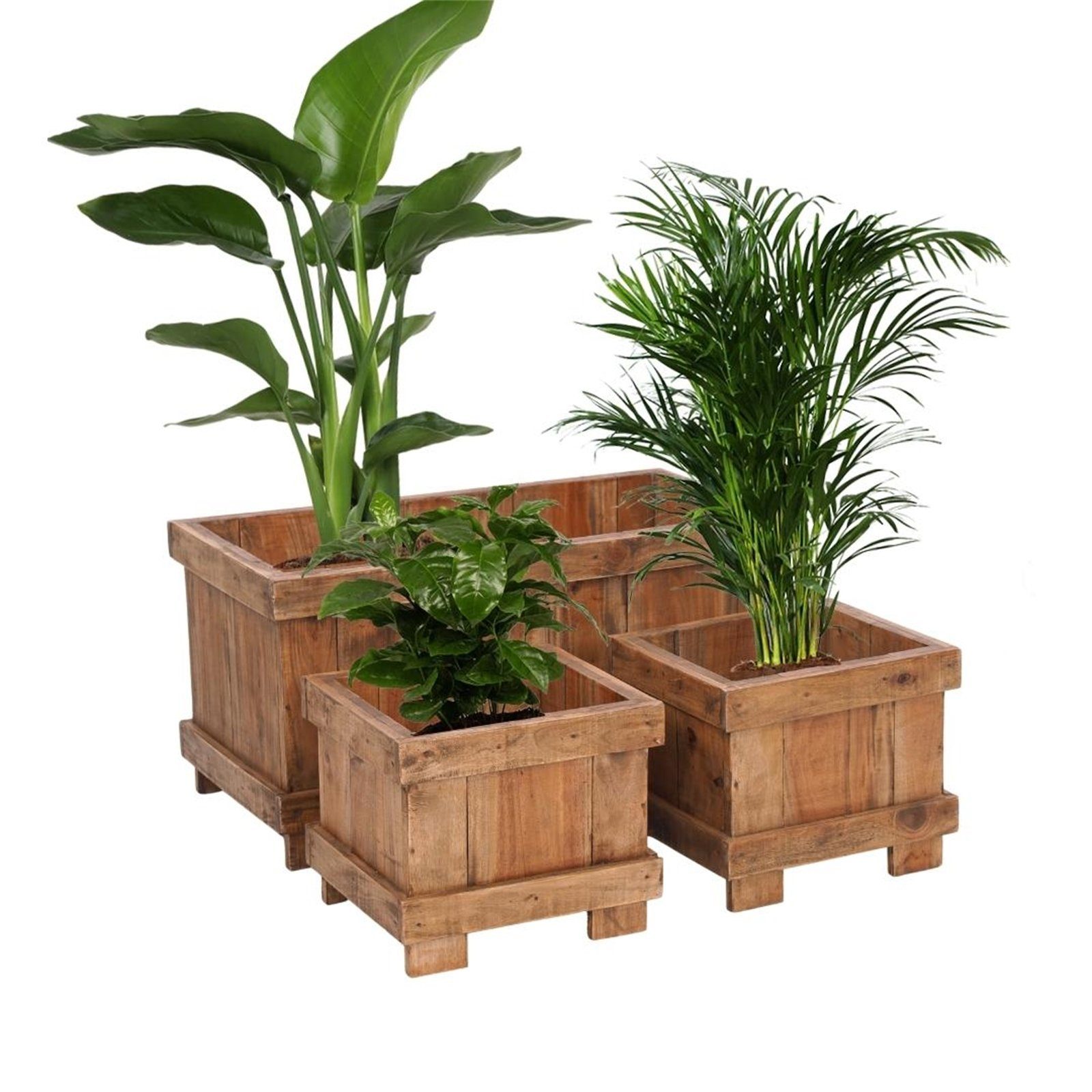 DESIGN DELIGHTS Truhe HOLZ ÜBERTÖPFE SET 
