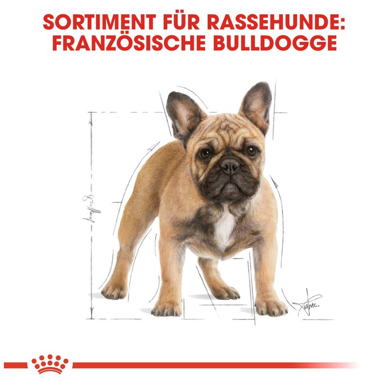 Royal Canin French Bulldog Adult zu TOP-Preisen