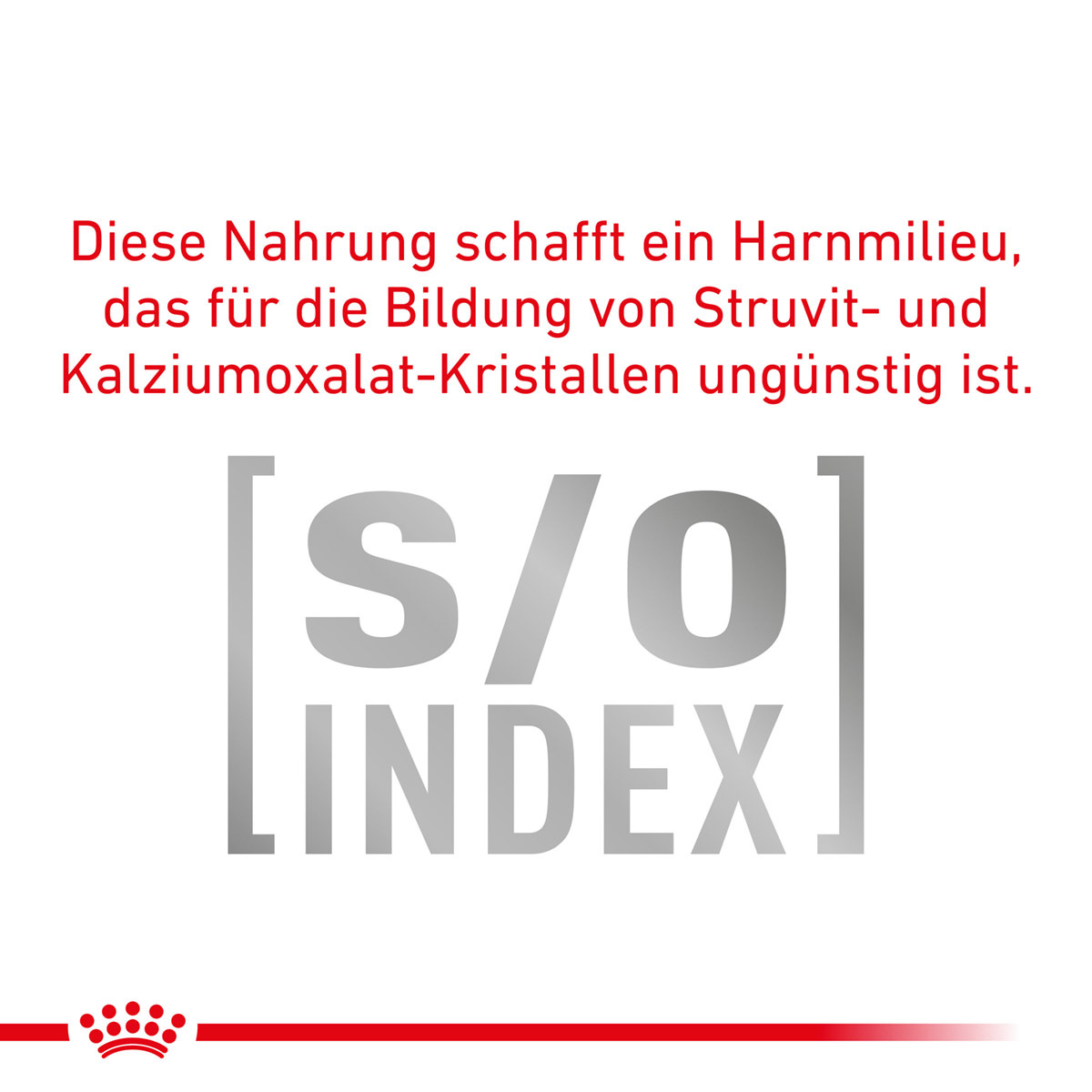 ROYAL CANIN Expert NEUTERED ADULT SMALL DOGS Trockenfutter für Hunde