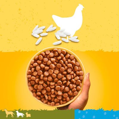 Pedigree Junior Medium mit Huhn & Reis