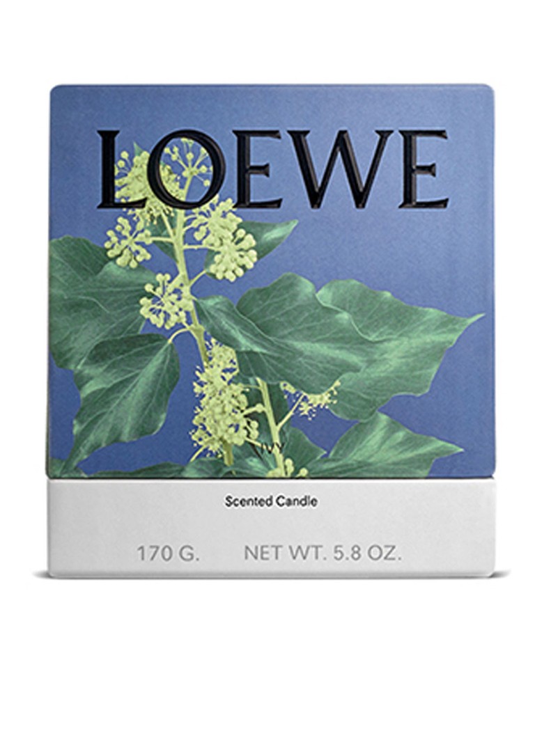 LOEWE mazā efejas svece - aromātiskā svece 170 grami