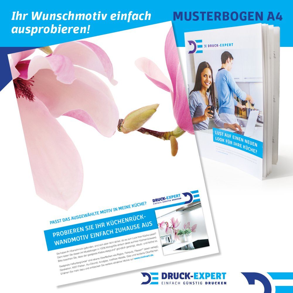 DRUCK-EXPERT Küchenrückwand Küchenrückwand Magnolien Zweig Premium Hart-PVC 0,4 mm selbstklebend