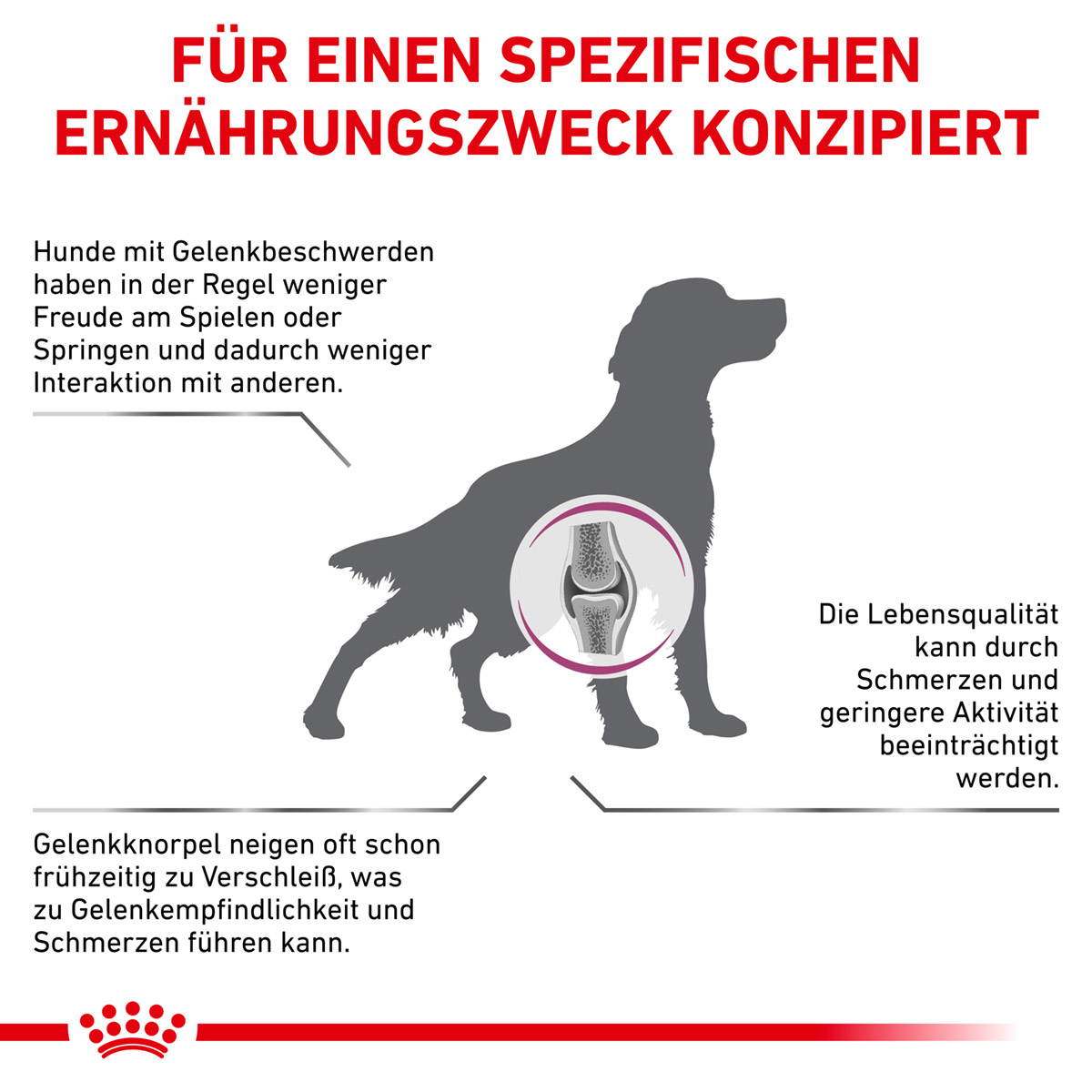 ROYAL CANIN Veterinary MOBILITY SUPPORT Trockenfutter für Hunde