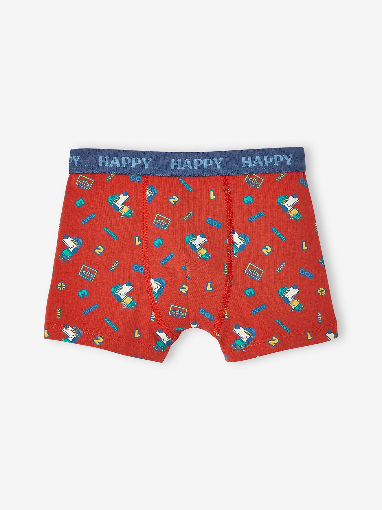 Vertbaudet 5er-Pack Jungen Stretch-Boxershorts, Hund - graublau