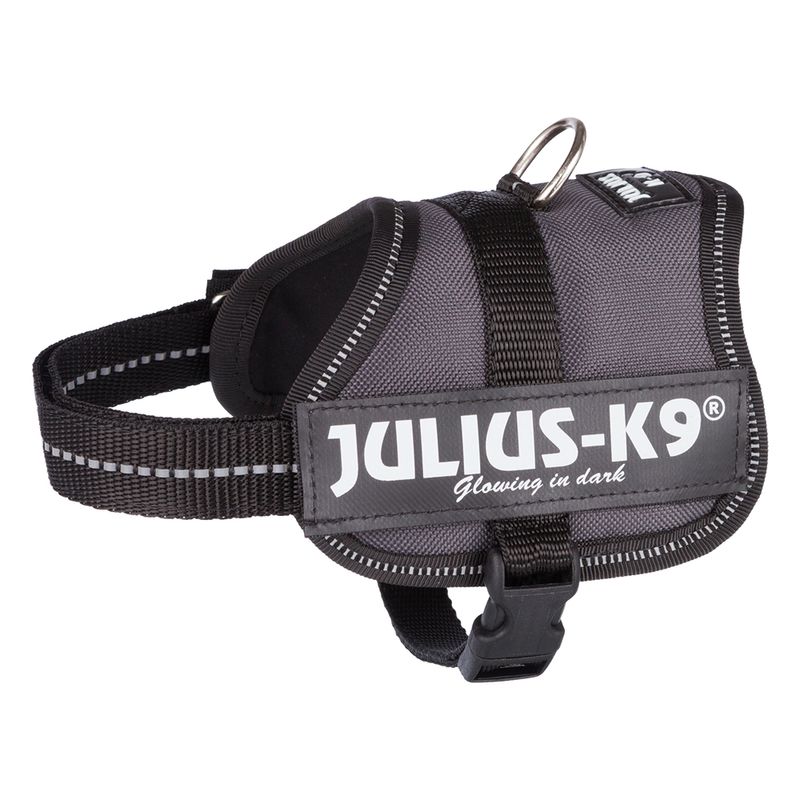 JULIUS-K9 Powergeschirr - anthrazit zu TOP-Preisen % | bitiba.de