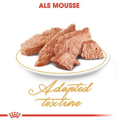 Royal Canin Persian Adult Mousse
