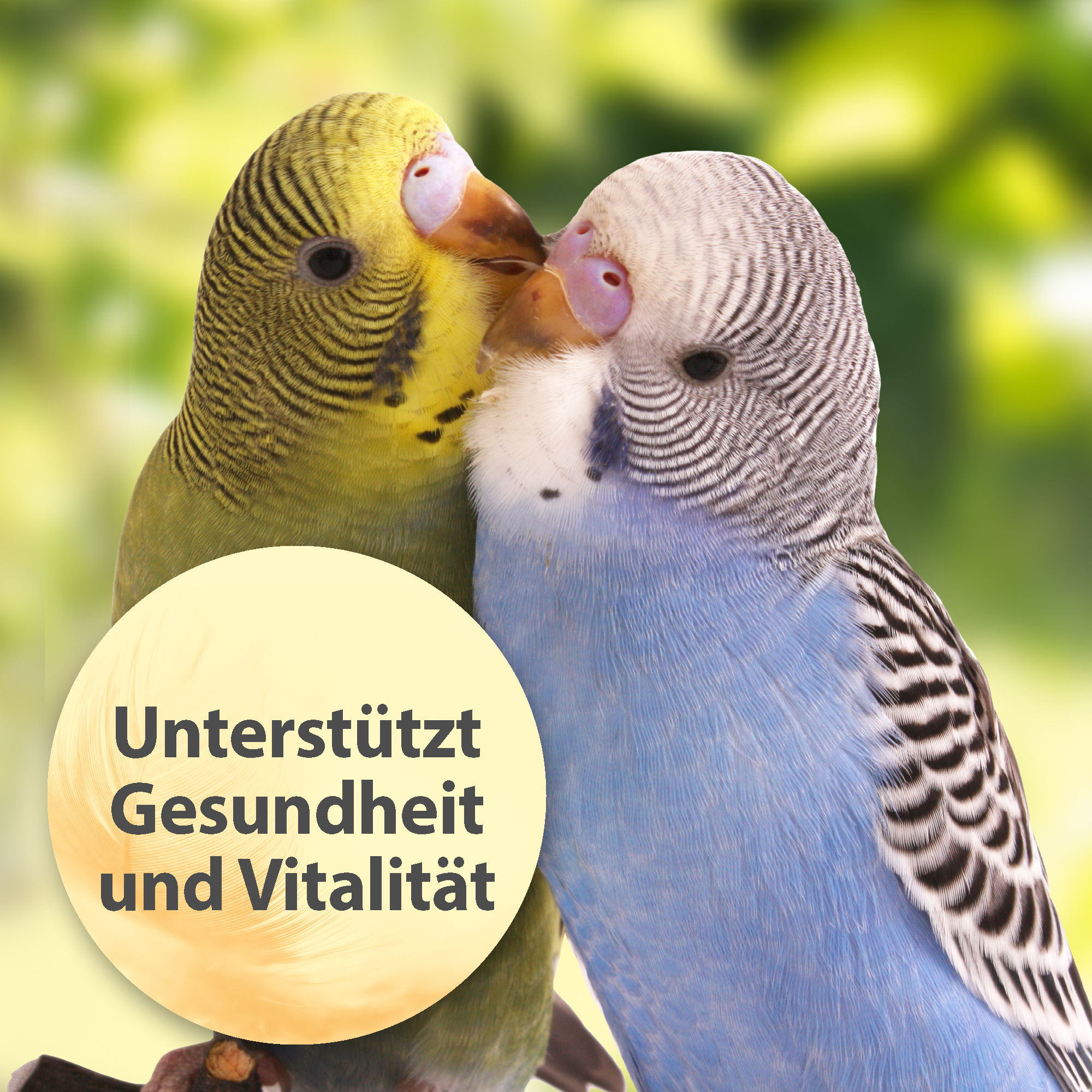 Quiko Ergänzungsfutter Quiko Holzkohlengrieß 270 g: Leicht verdauliches Einzelfuttermittel für Ziervögel