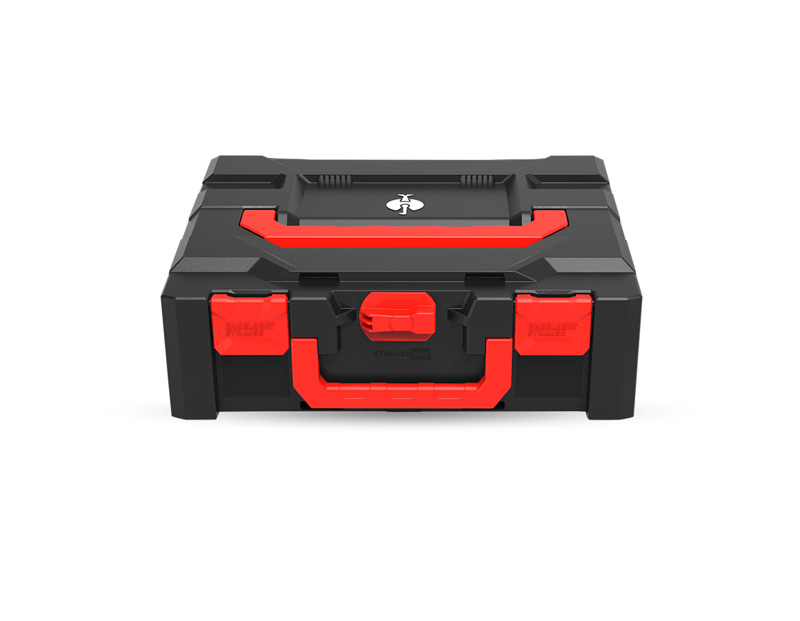 STRAUSSbox 145 midi+ Color